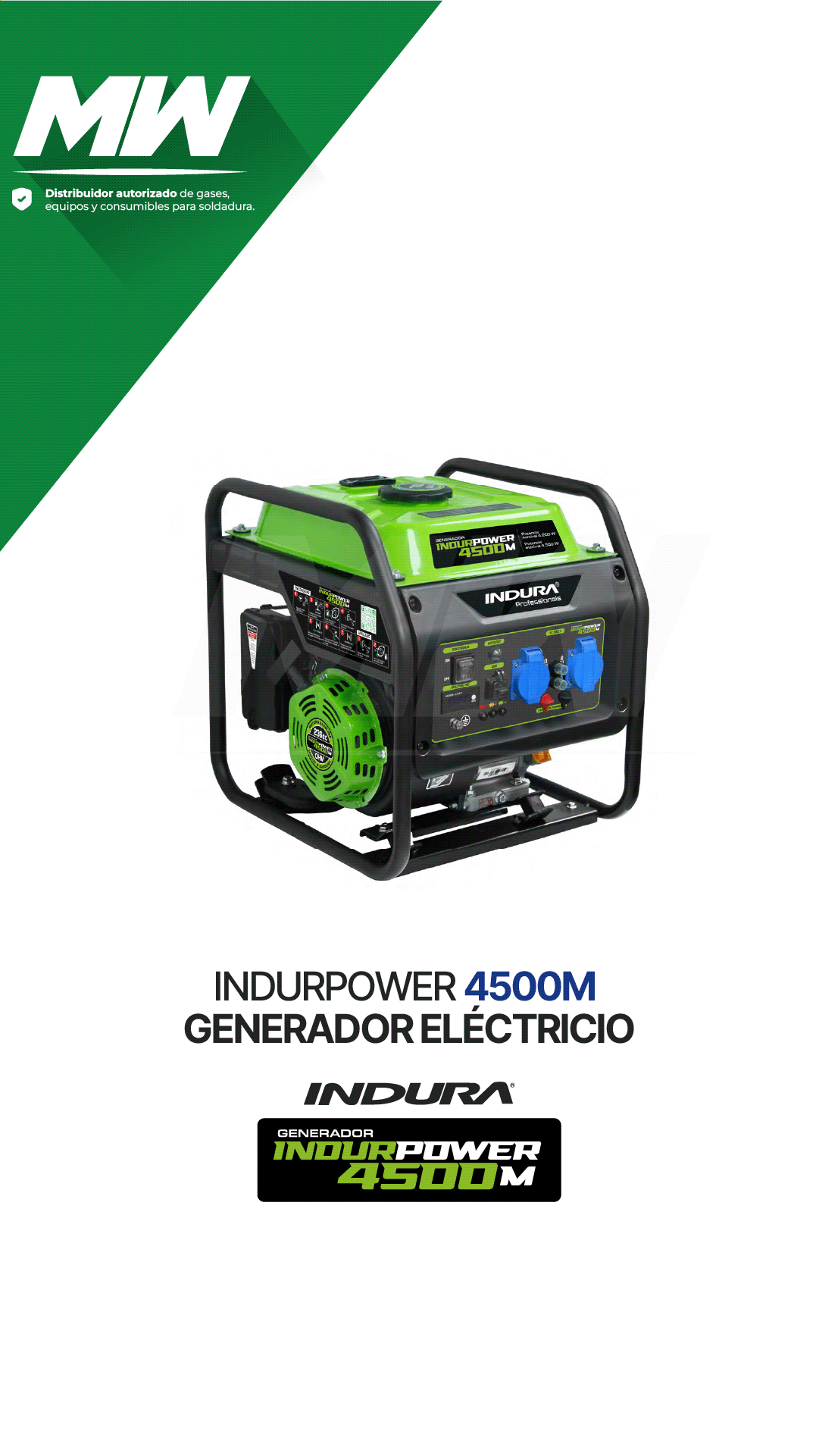 Generador Eléctrico INDURPOWER 4500M